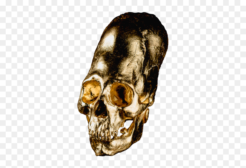 Alien Skull No - Skull, HD Png Download - gold skull png