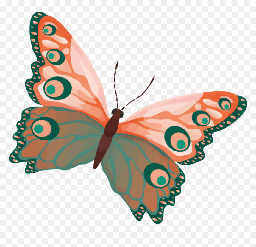 Transparent Borboleta Png - Mariposa De Colores Png, Png Download - borboleta png