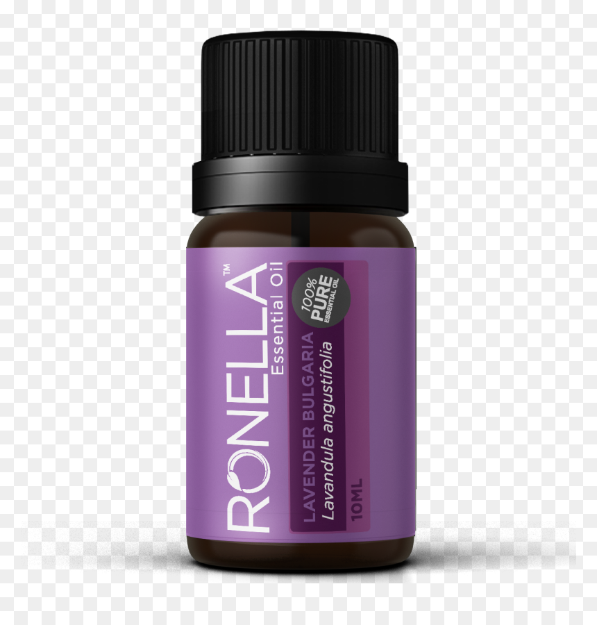 Camomile, HD Png Download - lavender plant png