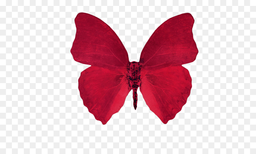 Red Butterfly, HD Png Download - borboleta png