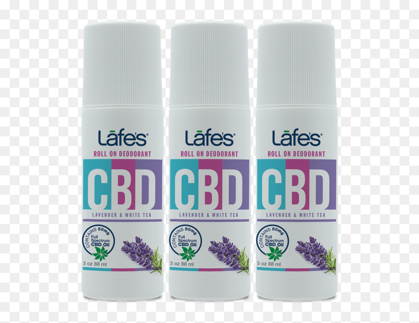 Lavandula Lanata, HD Png Download - lavender plant png
