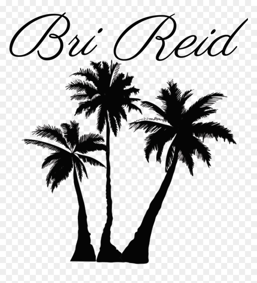Transparent Background Palm Tree Silhouette Png , Transparent - Palm Tree Transparent Background, Png Download - white palm tree png