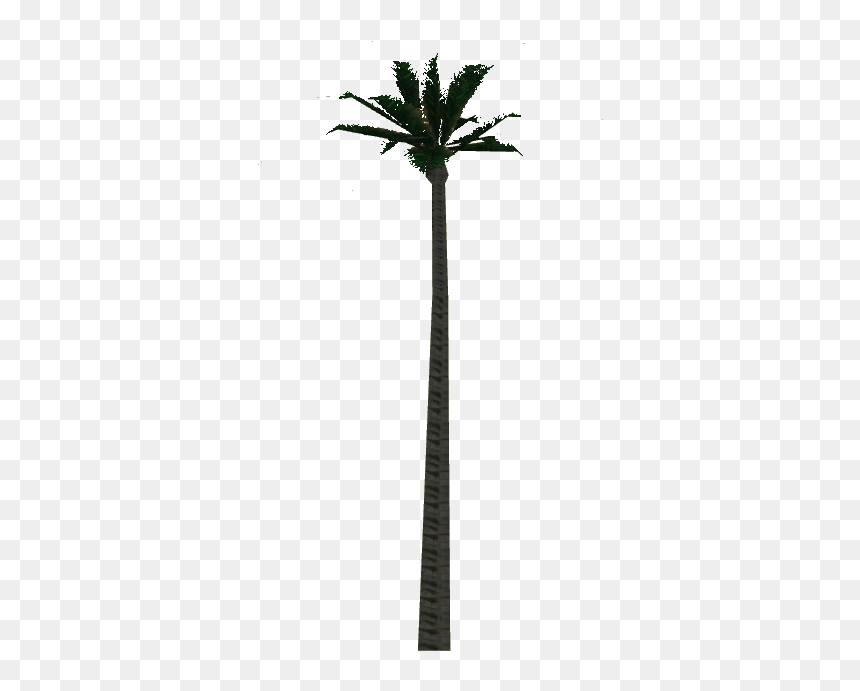 Wax Palm Tree - Attalea Speciosa, HD Png Download - white palm tree png