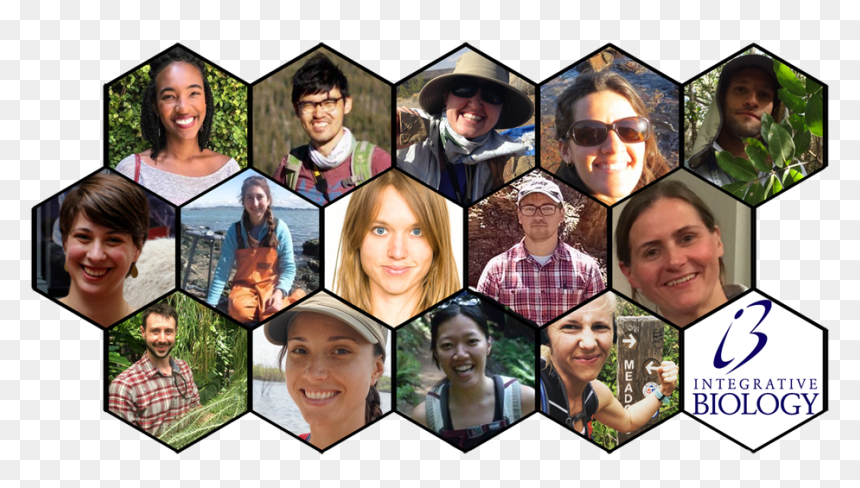 Ib Alumni Profiles 2019 940x519px - Collage, HD Png Download - graduates png