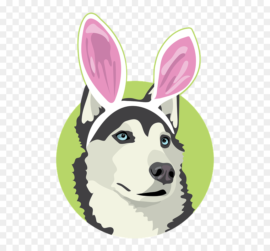 Easter Dog, Dog Easter, Easter, Dog With Bunny Ears - Cartoon, HD Png Download - easter bunny ears png