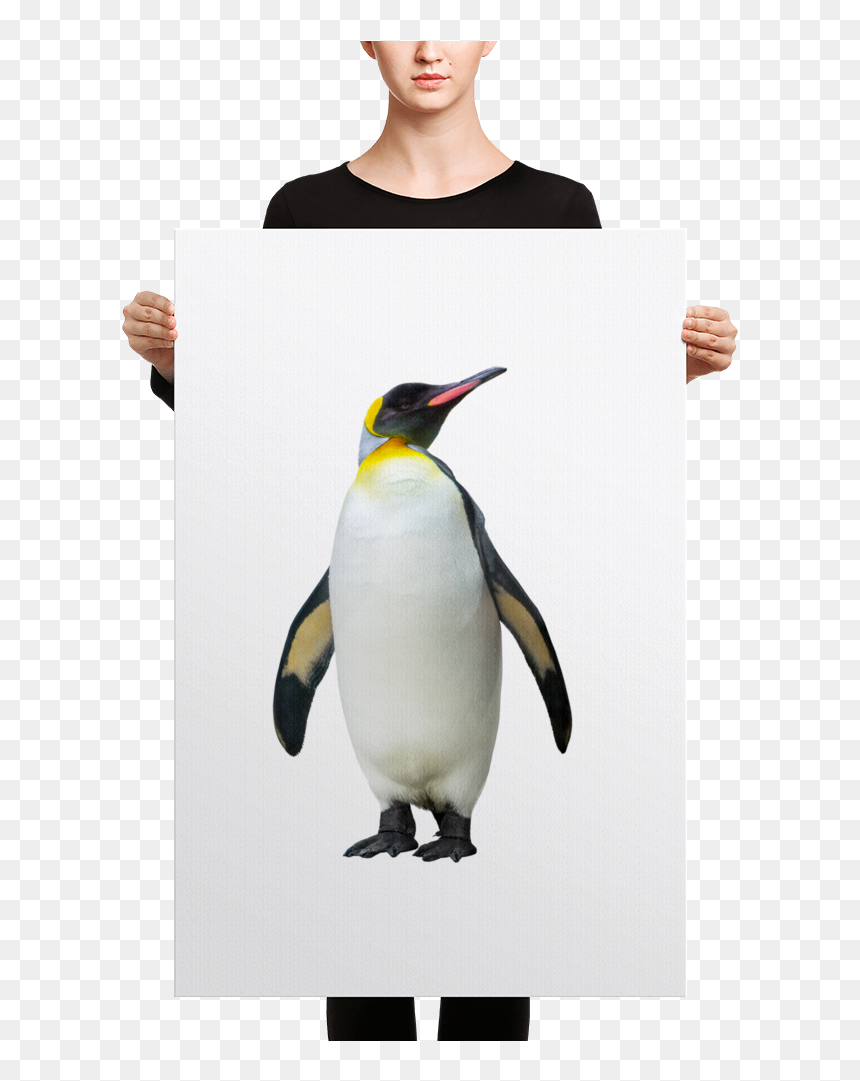 Black Mask Red Pied French Bulldog Canvas , Png Download - Penguin, Transparent Png - emperor penguin png