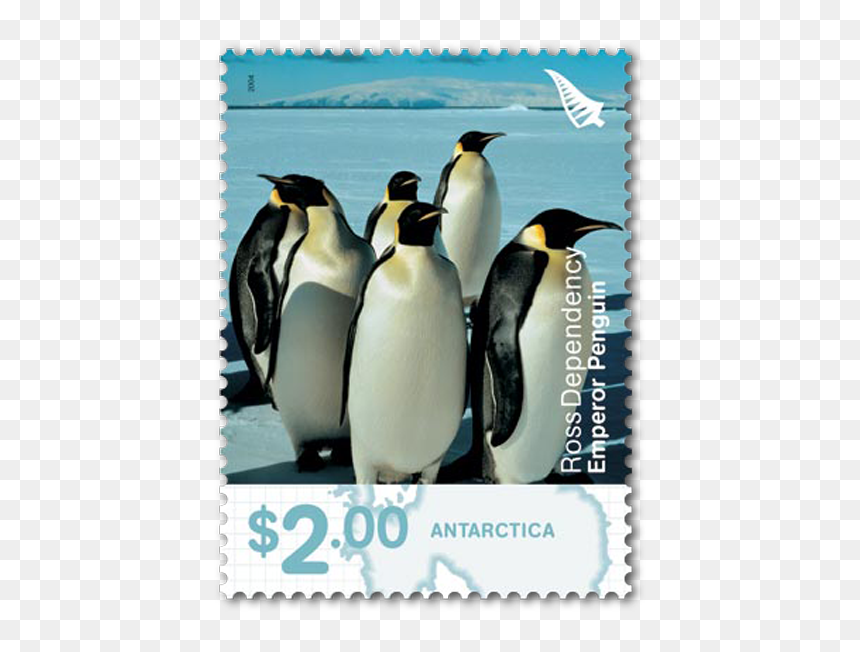 Emperor Penguin, HD Png Download - emperor penguin png
