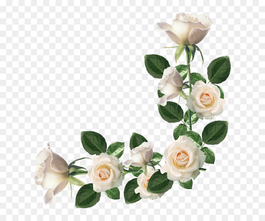 Transparent Ramo De Rosas Png - Bordas Rosas Brancas Png, Png Download - ramo de rosas png