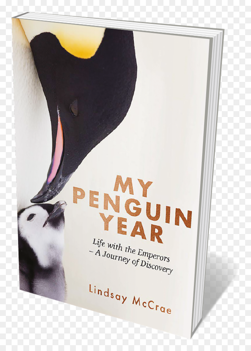 Book Cover - King Penguin, HD Png Download - emperor penguin png
