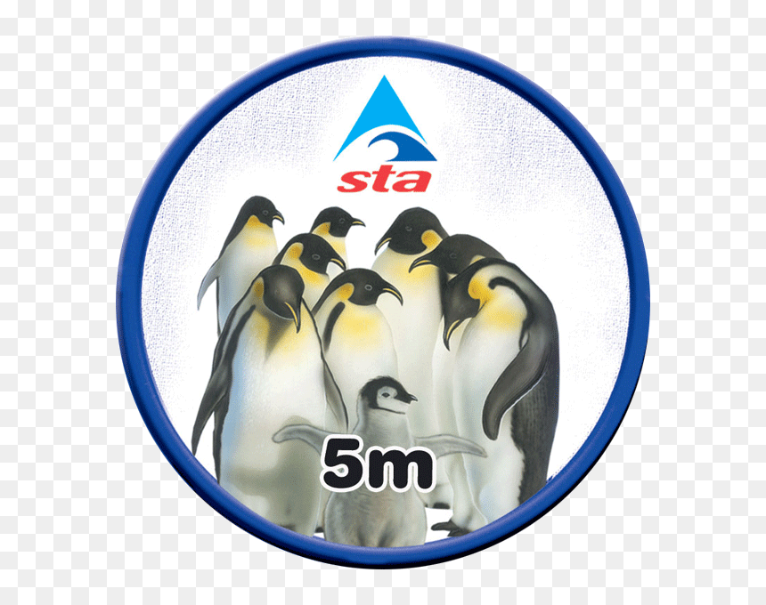 Swimming Teachers Association, HD Png Download - emperor penguin png