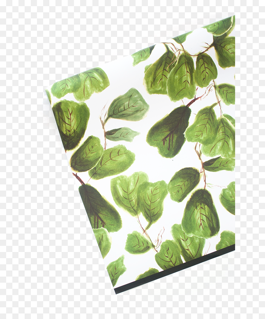 Trachemys, HD Png Download - fig leaf png