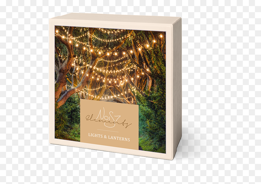 Photograph, HD Png Download - lanterns png
