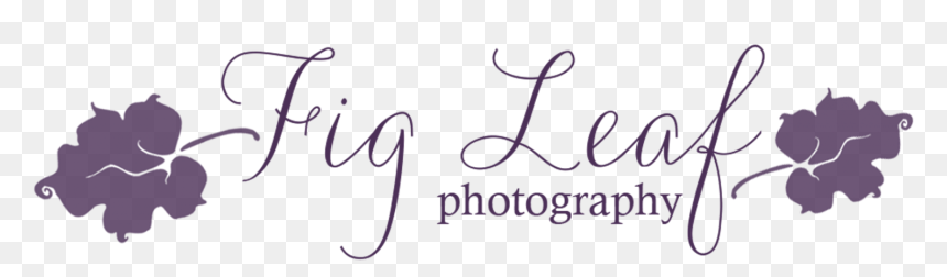 Calligraphy, HD Png Download - fig leaf png