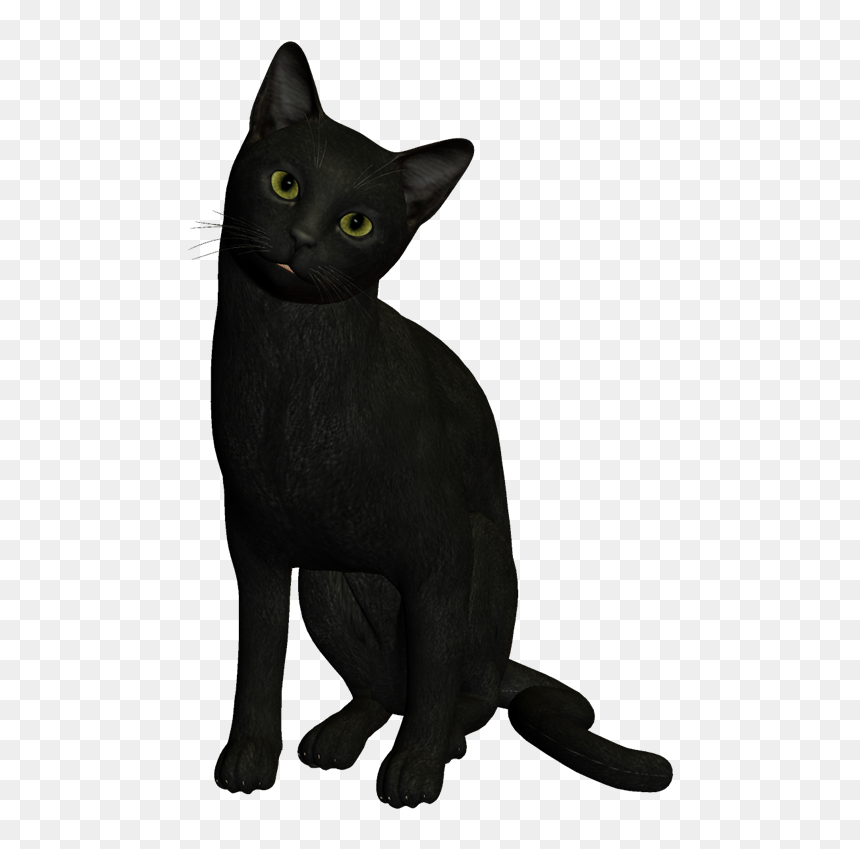 Thumb Image - Imagenes De Gatos Negros Png, Transparent Png - gatos png