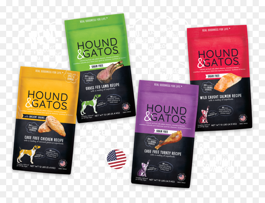 Flyer, HD Png Download - gatos png