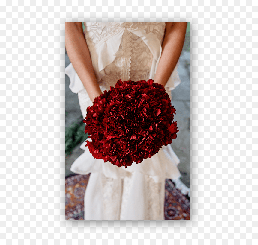 Ramo Rosas De Novia Castro Urdiales - Hybrid Tea Rose, HD Png Download - ramo de rosas png