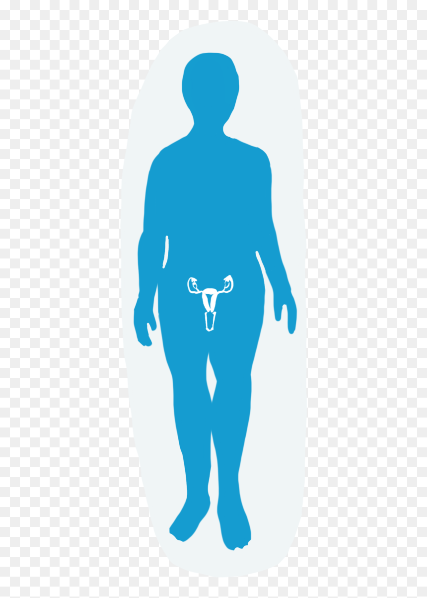 Reproductive System - Illustration, HD Png Download - person standing png back