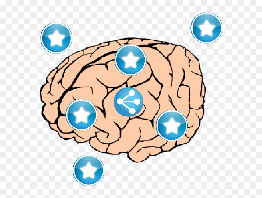 Clip Art Vector Online Royalty Free & Public Domain - Brain Drawing Png, Transparent Png - brain cartoon png