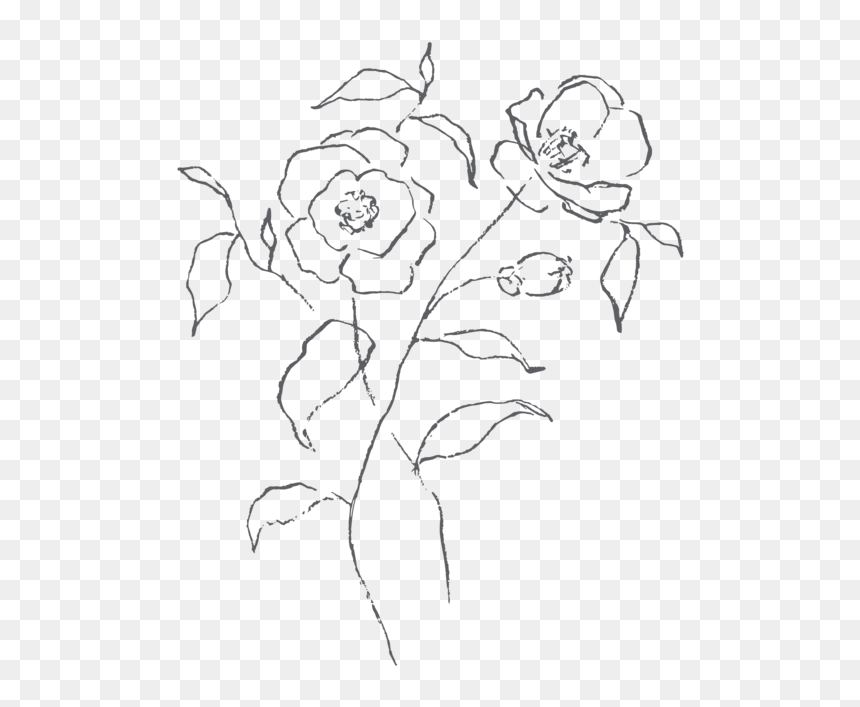 Linger-illustrations, HD Png Download - white scribble png