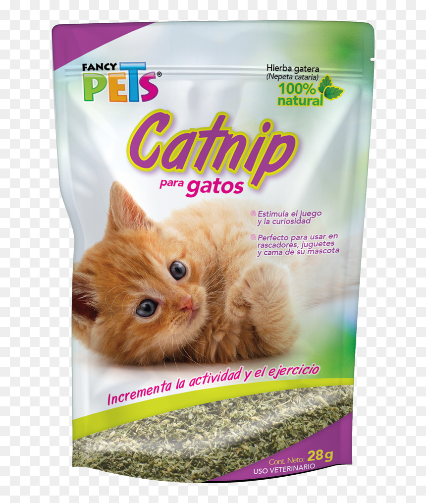 Hierba Para Gatos Catnip, HD Png Download - gatos png