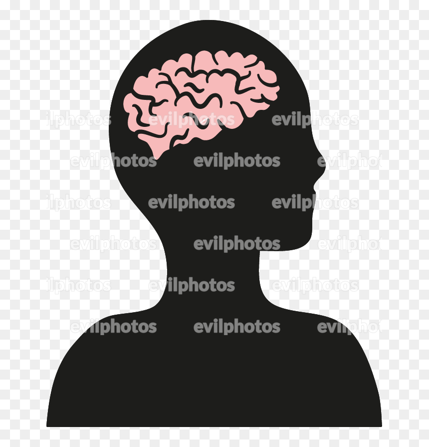 Brain Drawing Vector And Stock Photo - Drawing, HD Png Download - brain cartoon png