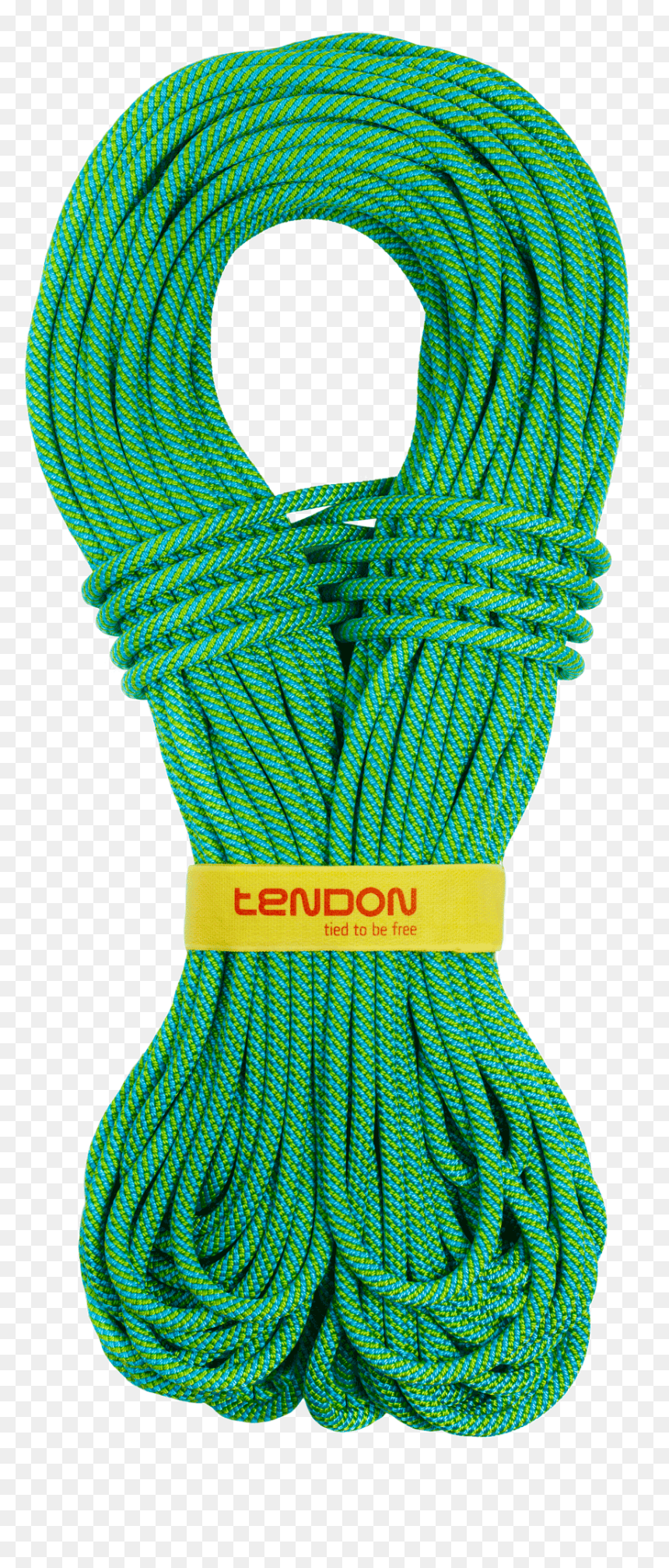 Tendon Master - Tendon, HD Png Download - ropes png