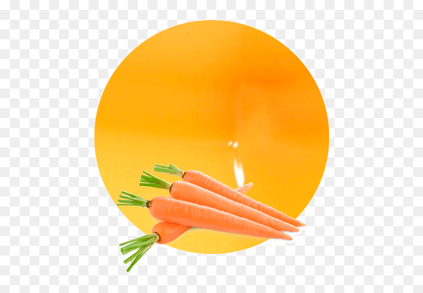 Just Dont Carrot All, HD Png Download - juices png