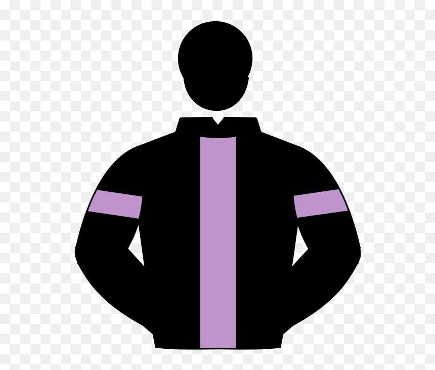 Transparent Horse Racing Action, HD Png Download - race horse png