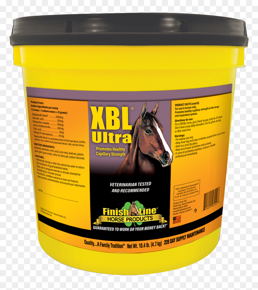 Helps With Race Horses That Are Bleeders - Gut Supplements For Horses, HD Png Download - race horse png