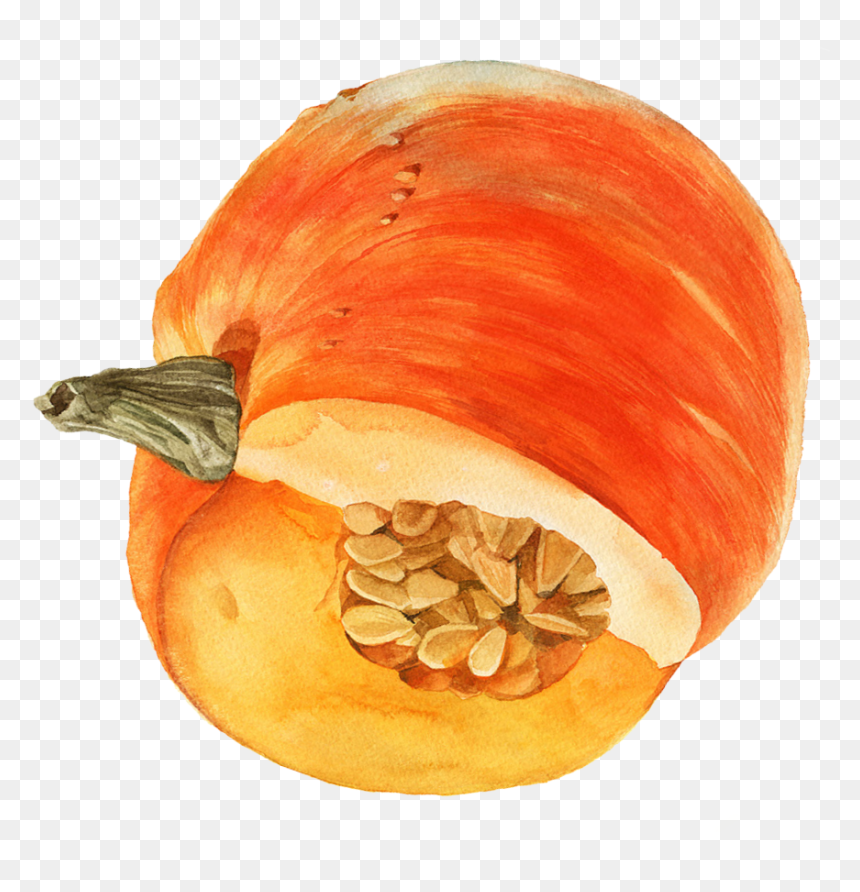 Transparent Watercolor Pumpkin Png - Pumpkin, Png Download - pumpkin png transparent