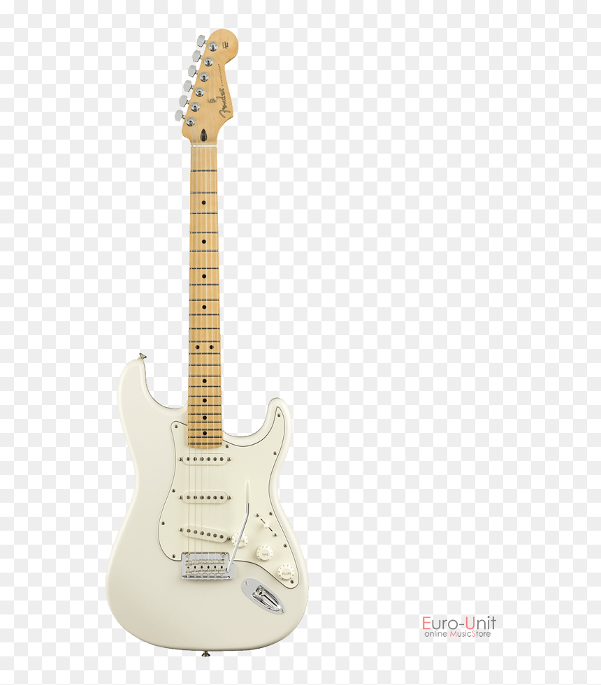 Fender Vintera 50s Stratocaster Mod, HD Png Download - fender stratocaster png