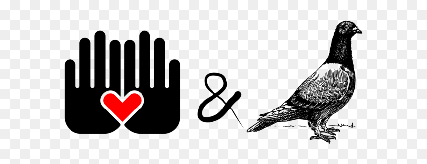 Black Grouse,pigeons And Doves,pheasant - Pigeons And Doves, HD Png Download - pigeons png