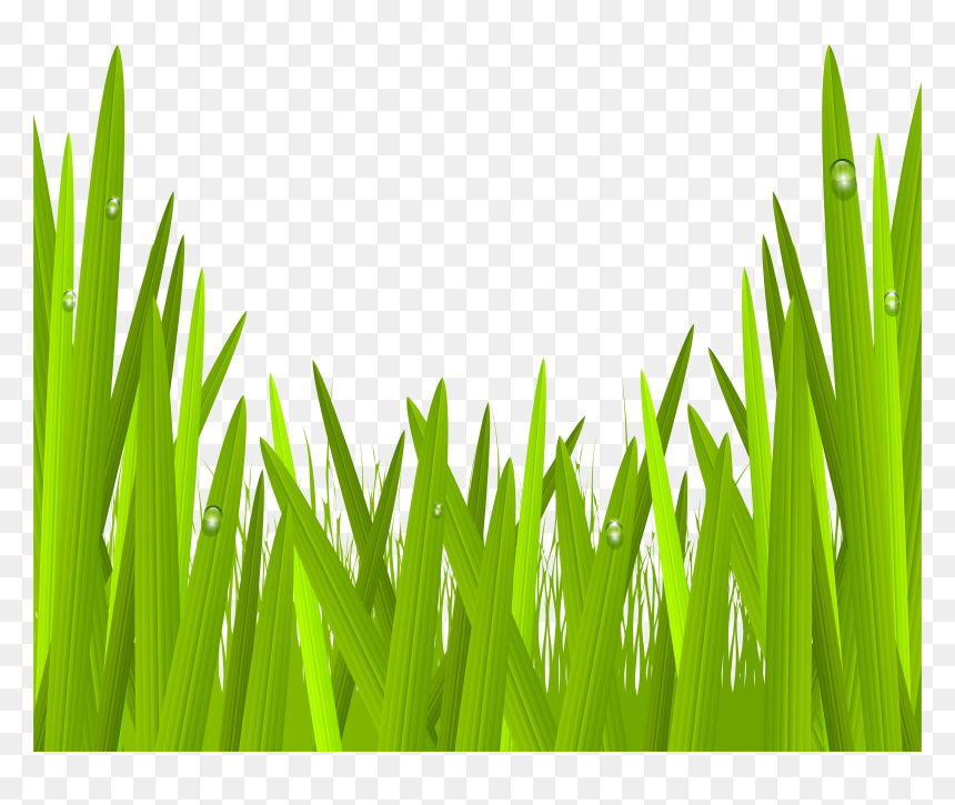 Green Grass Png Clip Art Image Gallery - Transparent Green Grass Clipart, Png Download - grass png clipart