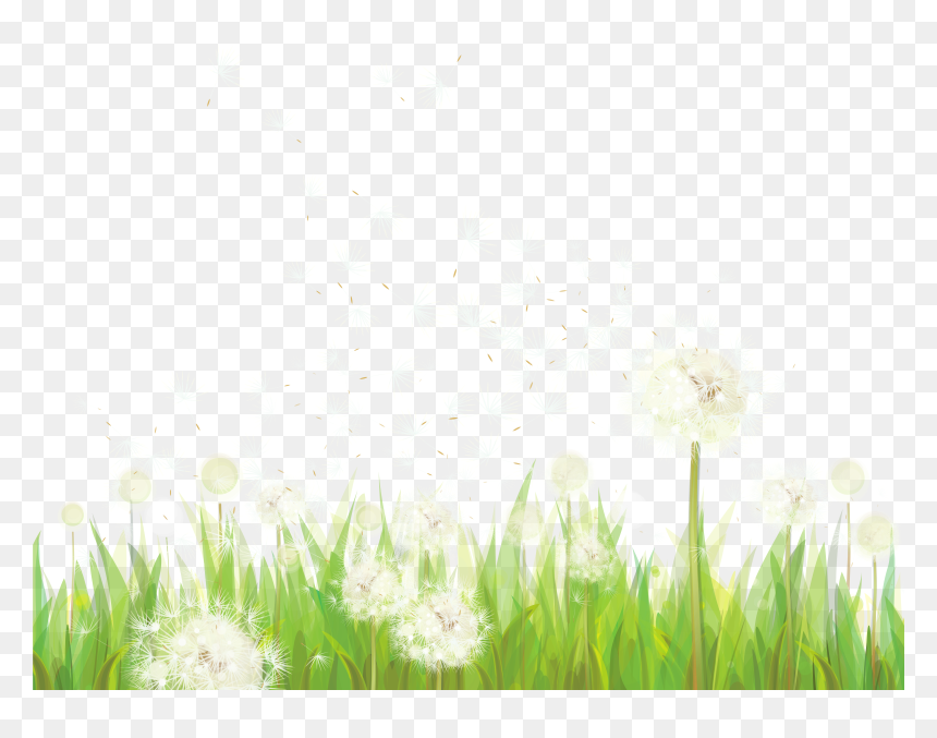 Transparent Grass With Dandelions Png Clipart - Clip Art, Png Download - grass png clipart