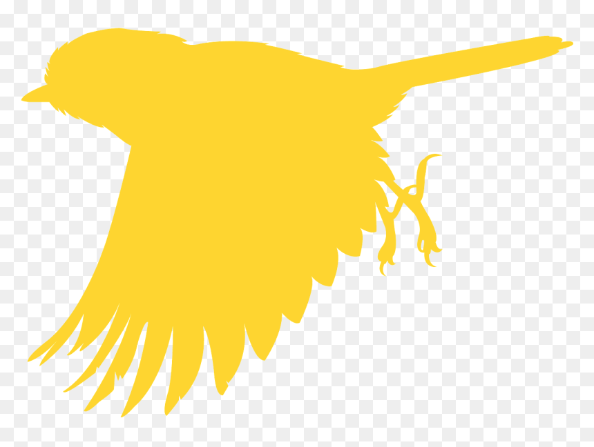 Illustration, HD Png Download - flying bird silhouette png