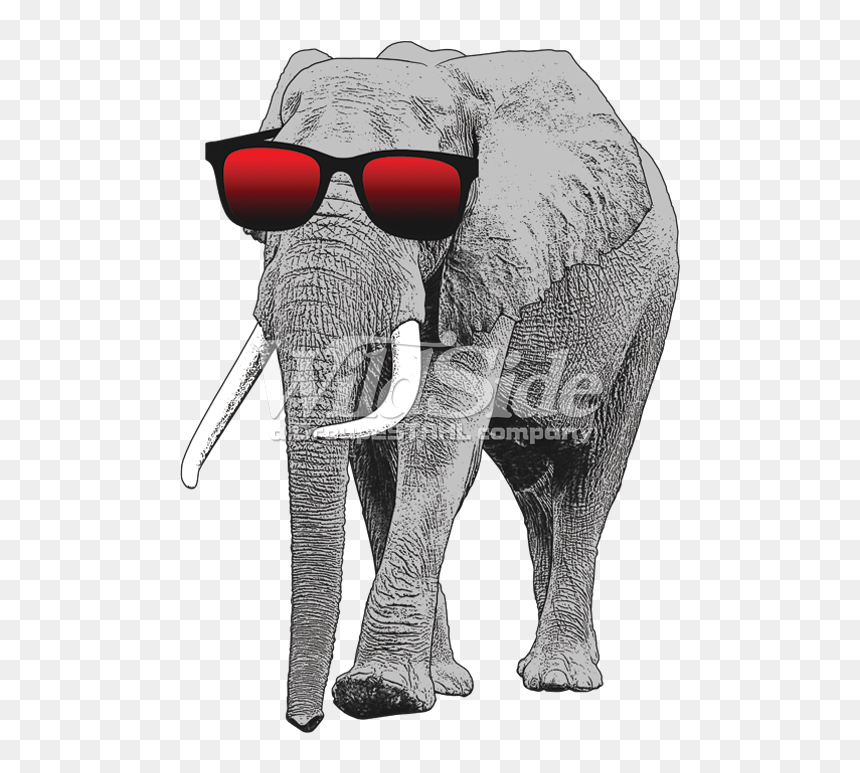 Elephant With Sun Glasses - Elephant With Sunglasses, HD Png Download - sun with sunglasses png