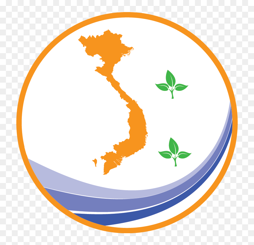 Hoa Mai Png, Transparent Png - hoa mai png