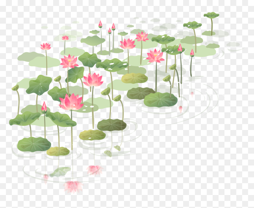 Transparent Lilypad Png - Watercolour Painting Lotus Pond, Png Download - hoa mai png