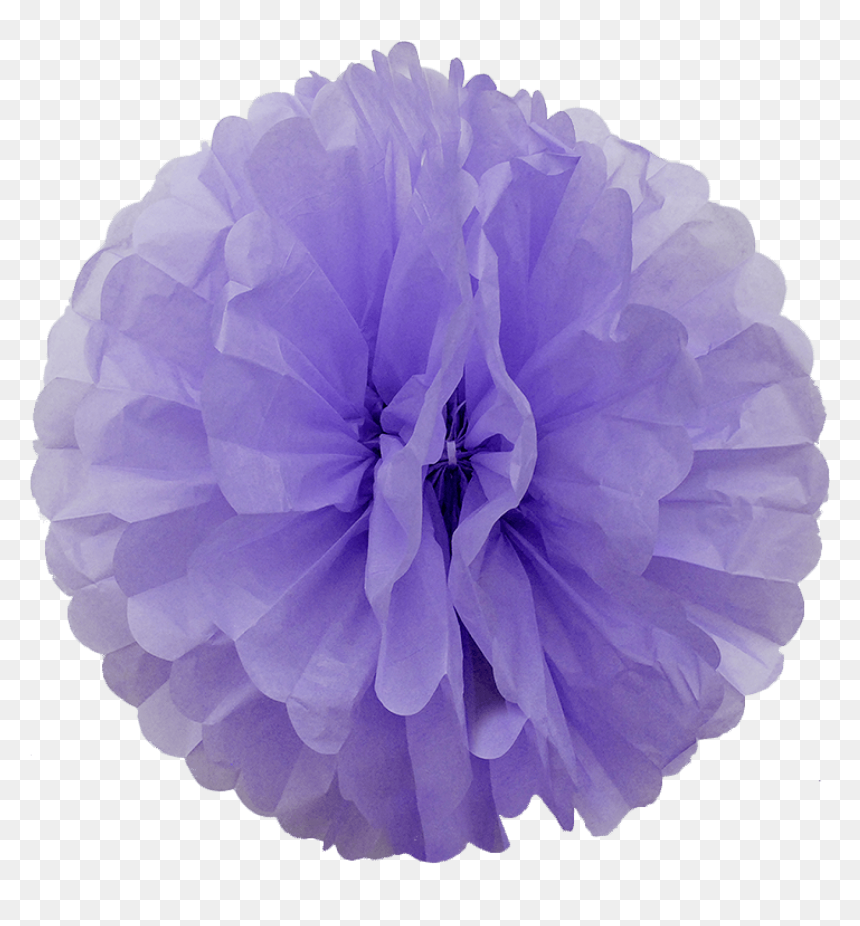 Lavender Paper Pom Poms-31 - Dahlia, HD Png Download - pom poms png