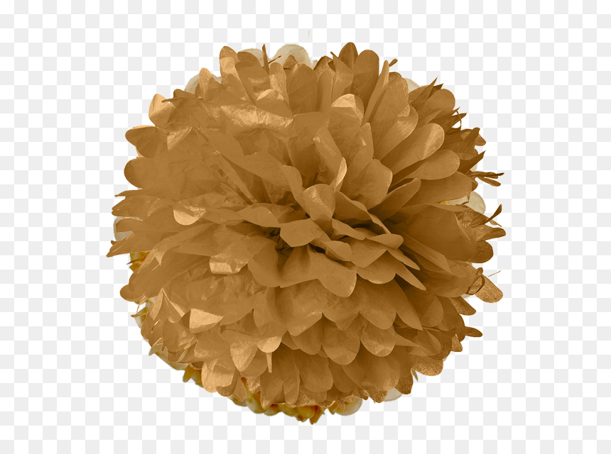 Gold Tissue Pom Poms - Pom Pom Png, Transparent Png - pom poms png