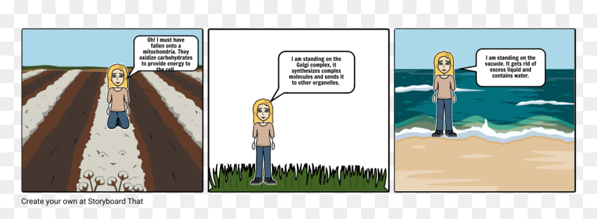 Strip3, HD Png Download - animal cell png