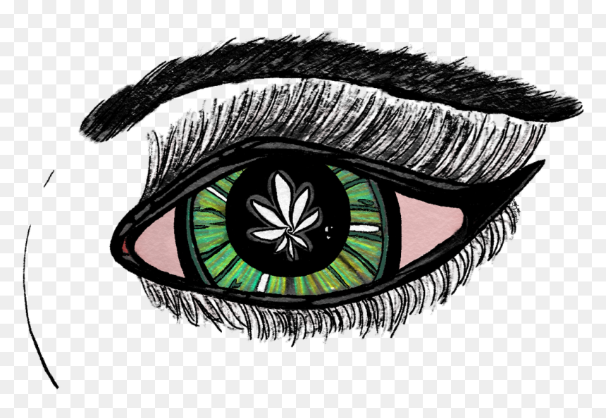 Sketch, HD Png Download - bushy eyebrows png
