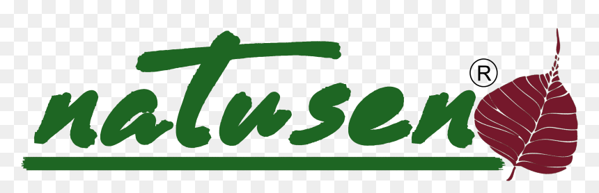 Natusen R Khung Nho - Illustration, HD Png Download - hoa mai png