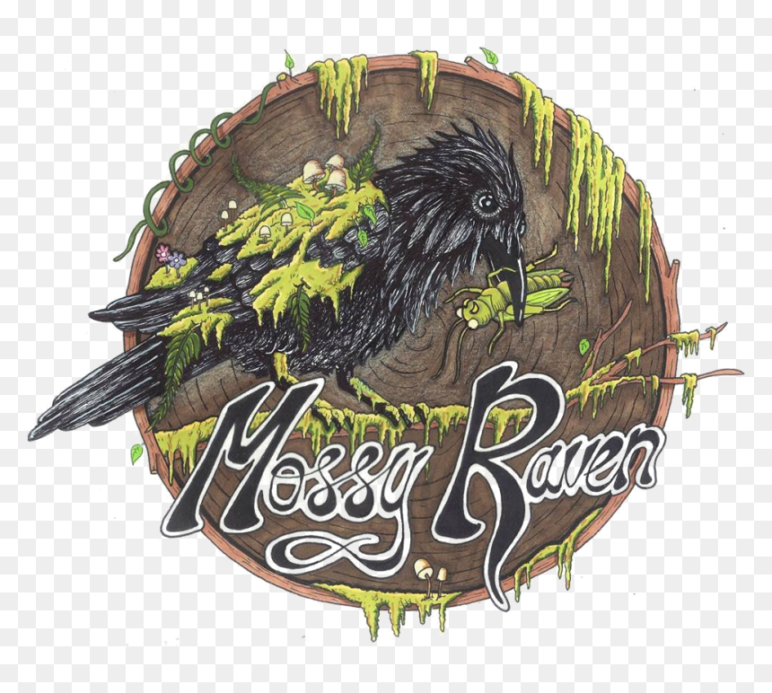 Illustration, HD Png Download - raven feather png