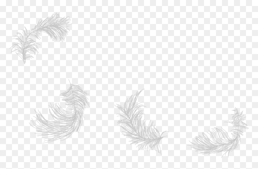 Sketch, HD Png Download - raven feather png