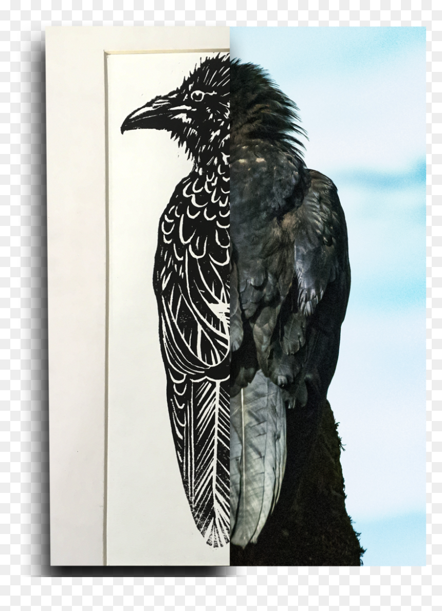 Ravensplice, HD Png Download - raven feather png