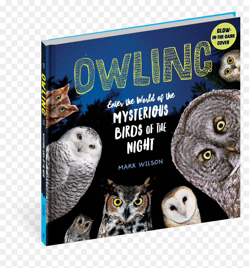 Cover - Owling (ebook), HD Png Download - hedwig png