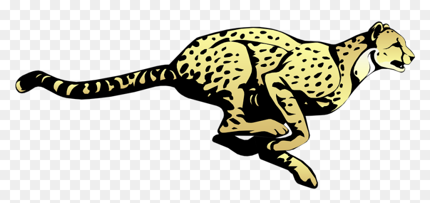 Cheetah, Running, Speed, Animal, Fast, Mammal, Spots, HD Png Download - fast png
