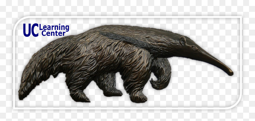 Replace This With Alt Text For The Above Image, Leave - Uci Anteater Statue, HD Png Download - uc browser png
