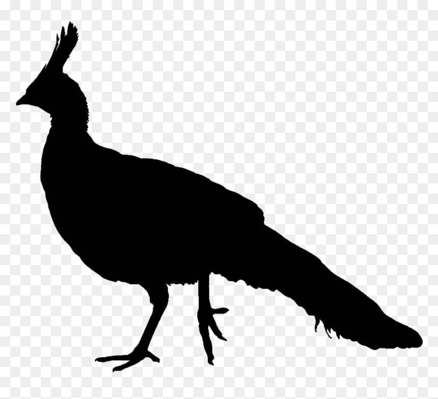 Silhouette Clipart Peacock - Peacock Silhouette Transparent, HD Png Download - peacock png image